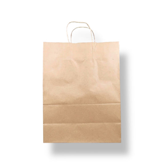 10x5x13” Twisted Handles Kraft Paper Bag - Case of 250 ct.